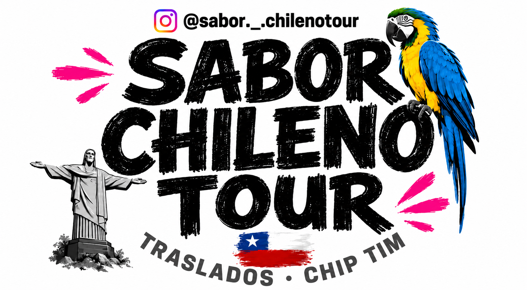 Sabor Chileno Tour